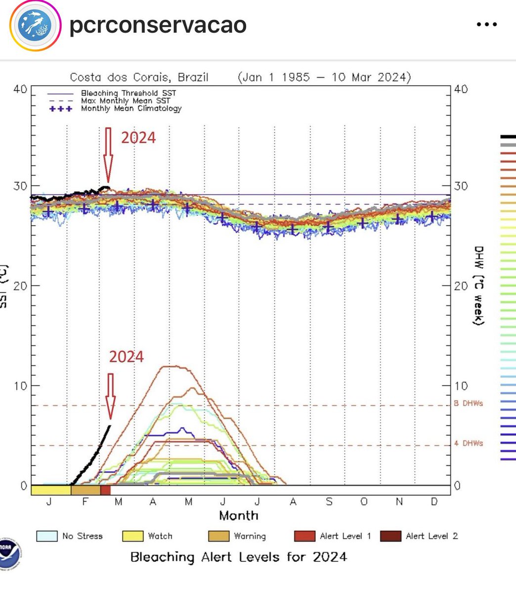 <4 years ago we detected unprecedent coral mortality in the Brazil. rb.gy/8fehm6 Even worse events followed rb.gy/1zllck. Reef conditions continue to deteriorate fast 😩rb.gy/ri4wd0 We are beyond the tipping point and need to act now!