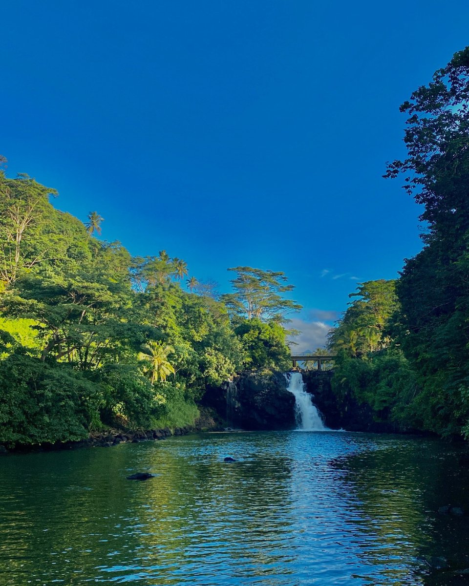 Samoa Tourism tweet media
