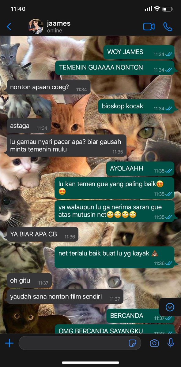 thithilovezz's tweet photo. tutoryim threetweets au ; mandang typing
#TutorYim 's alternative universe ft NetJames 

1. turrrrtle https://t.co/4Qf65z7TBk