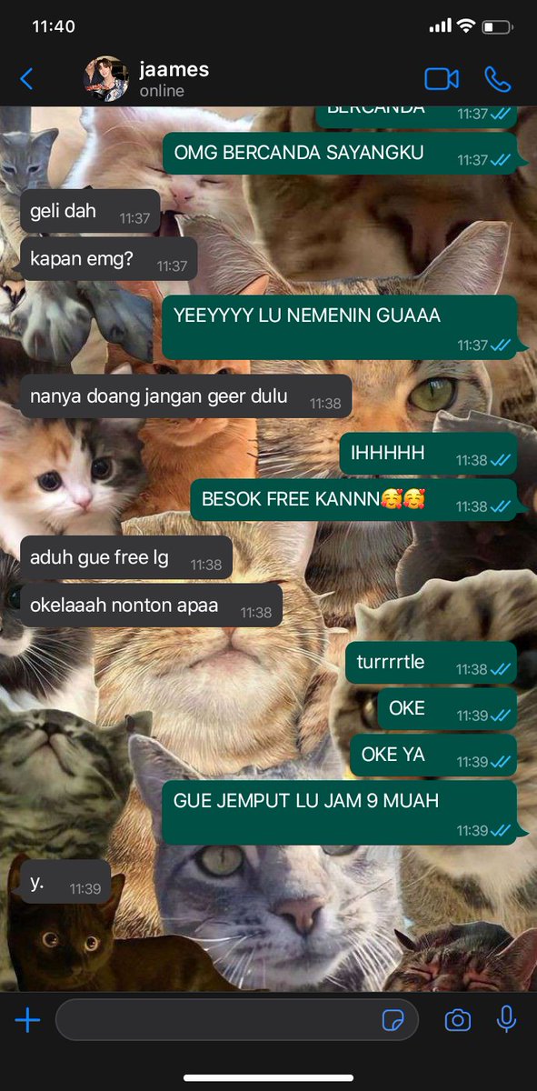 thithilovezz's tweet photo. tutoryim threetweets au ; mandang typing
#TutorYim 's alternative universe ft NetJames 

1. turrrrtle https://t.co/4Qf65z7TBk