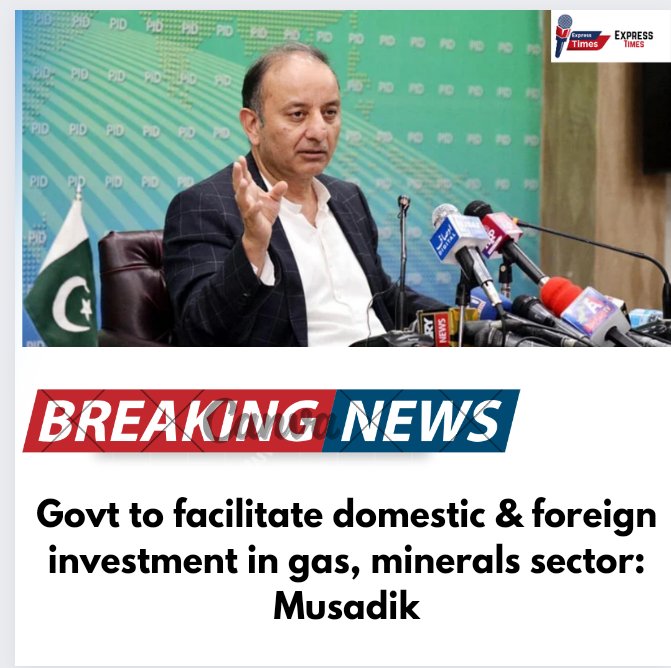 Govt to facilitate domestic & foreign investment in gas, minerals sector: Musadik. #Govt #domestic #investment Link🔗........in...........👇 expresstimes.online