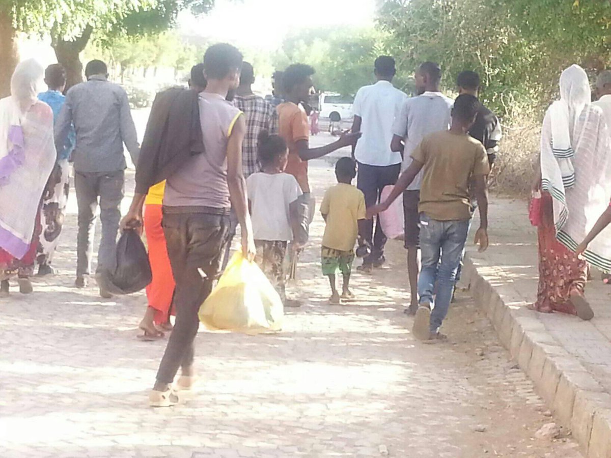 #Tigray: Sheraro Communication office reports that over 28 forcefully displaced Tigrayans from Western Tigray arrived in Sheraro. 

In a short announcement posted on its FB page, Sheraro Communications Office has disclosed the arrival of more than 28 Tigrayans who were forcefully