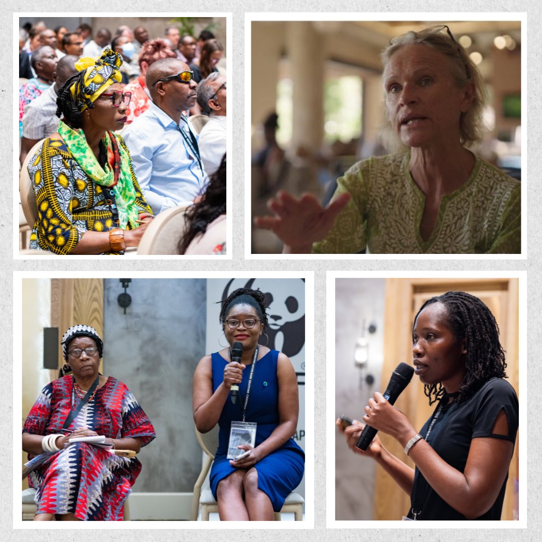 EverGreeningA's tweet photo. Accelerating Nature-Based Solutions Conference – DAY 2 recap 🌍🌿 The day was packed with practical sessions and discussions aimed at collaborating on achieving our shared goal of greening up to cool down the planet! https://t.co/WondC0RtIa