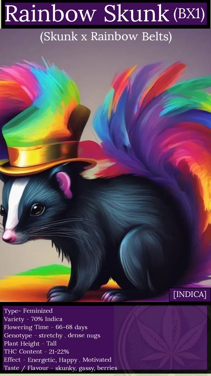 The_Noyes_Boys's tweet photo. Rainbow #skunk #tradingcard
Now with stats !.
Each card will be numbered
Would you like one accompanied with your order? ✌️
#growyourown #growmie #cannabisadvertising #CannaLand #straincard #weedcard #weedtradingcards #cannabeast https://t.co/3OCoh29XVx