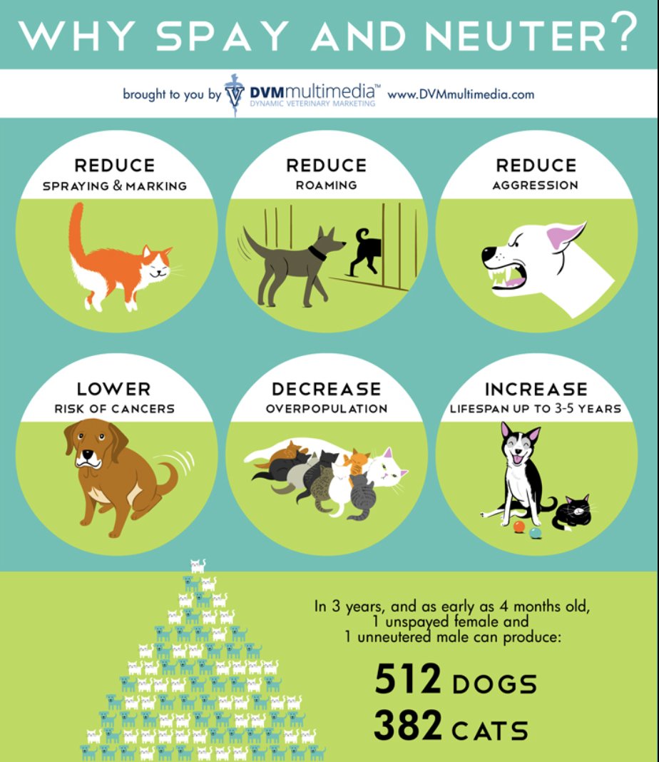 TMorganS2024's tweet photo. Be a responsible pet owner. Get your animals spayed/neutered! It stops the problem at the source! #39canimals https://t.co/QaX453rW1s