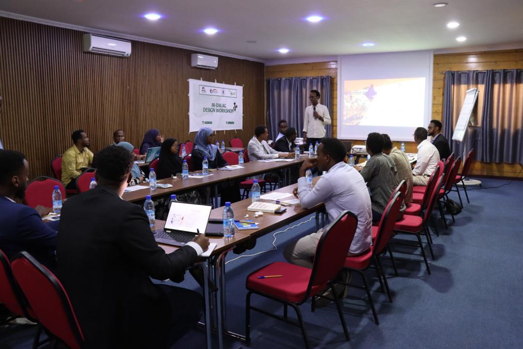 M-Dalag Design workshop funded by @EU_in_Somalia featuring representatives from Federal Ministry of Agri, our partners, Academia & Private sector. Attendees engaged in a live demo of the platform's key features, offering valuable insights & recommendations for its enhancement