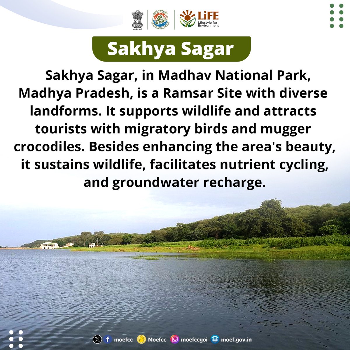 Discovering India's Ramsar Sites Day 57: Sakhya Sagar From wetlands to wildlife, each site is a unique haven for nature. Let's celebrate and safeguard these vital ecosystems together! #RamsarSites #MissionLiFE #ProPlanetPeople