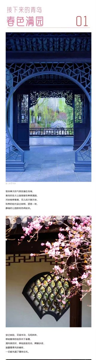 miya12358986377's tweet photo. 进入三月,温柔的春风拂过岛城,唤醒了大自然的生机,青岛春天的气息逐渐显现。属于春的舞台缓缓拉开,我们只需静静等待,就能收获春色如许。#好客山东 #Springcomesearly https://t.co/eQKAx2HdhW