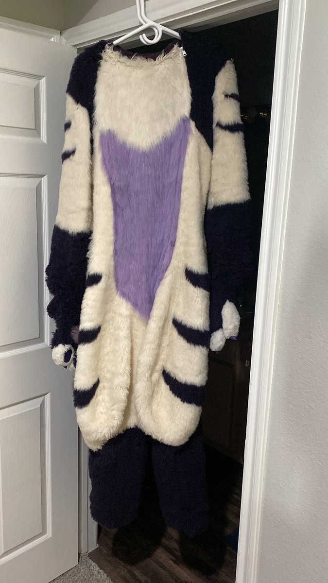 CadeCCorgi's tweet image. The boy is all clean and ready for #TFF2024   Who all am I seeing?!?!?

#TFF #TFF24