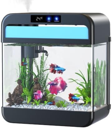 Betta Fish Tank Essentials: Set Up Your Dream Habitat for Your Beloved Fish
champagnereef.com/betta-fish-tan…
#champagnereef #bettafishtank
