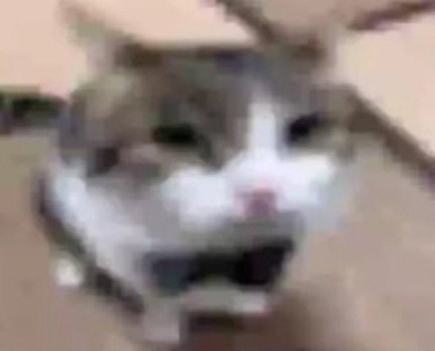 ˜*° 𝒫𝒽𝑜𝑒𝓃𝒾𝓍 𝒜𝒸𝒶𝒹𝑒𝓂𝓎 °*˜ tweet media