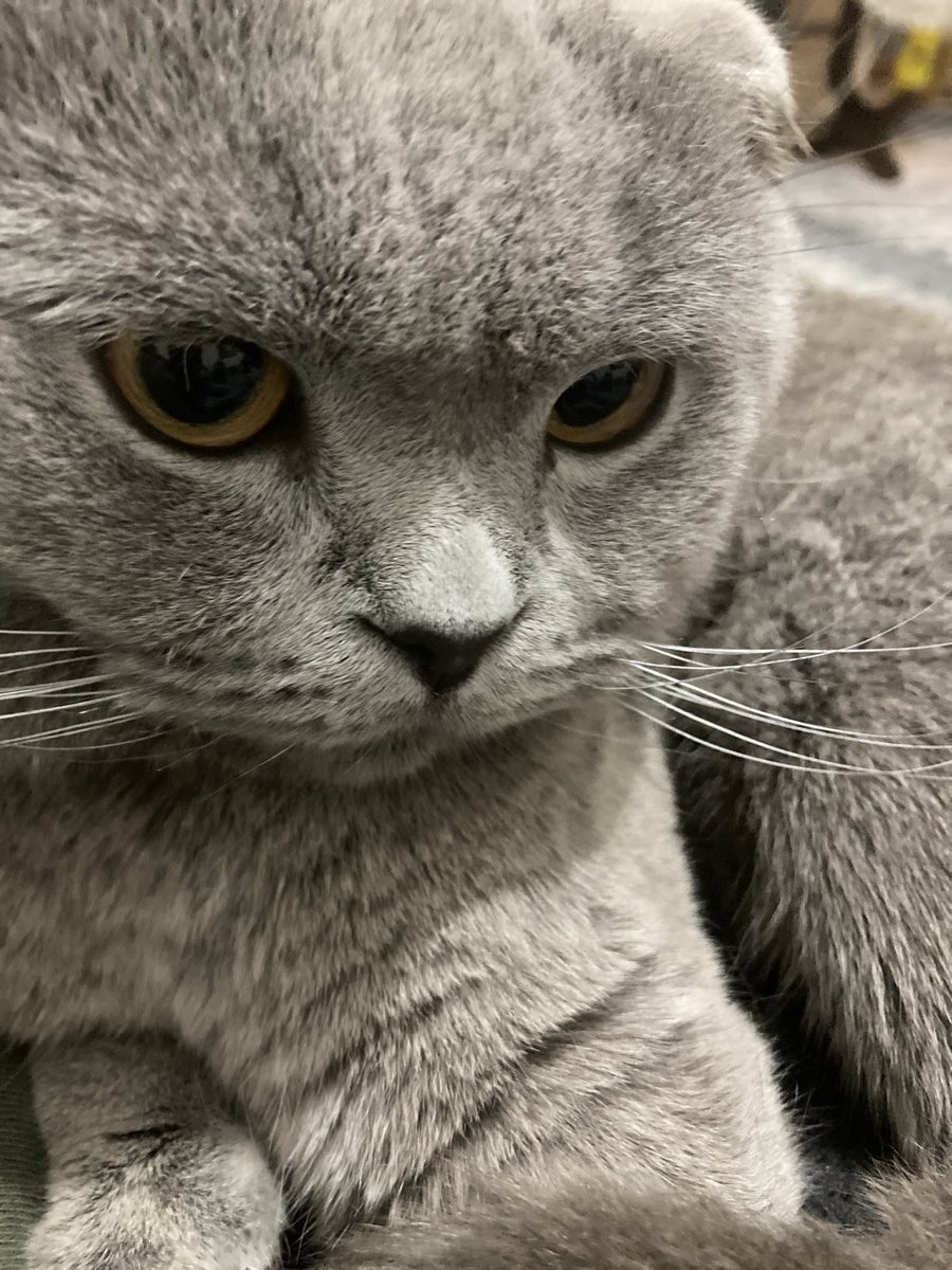 #Erosicinadalet  Hapis cezası çıkmalı artık hayvanlara  karşı işlenen suçlara emsal olmalı bu dava