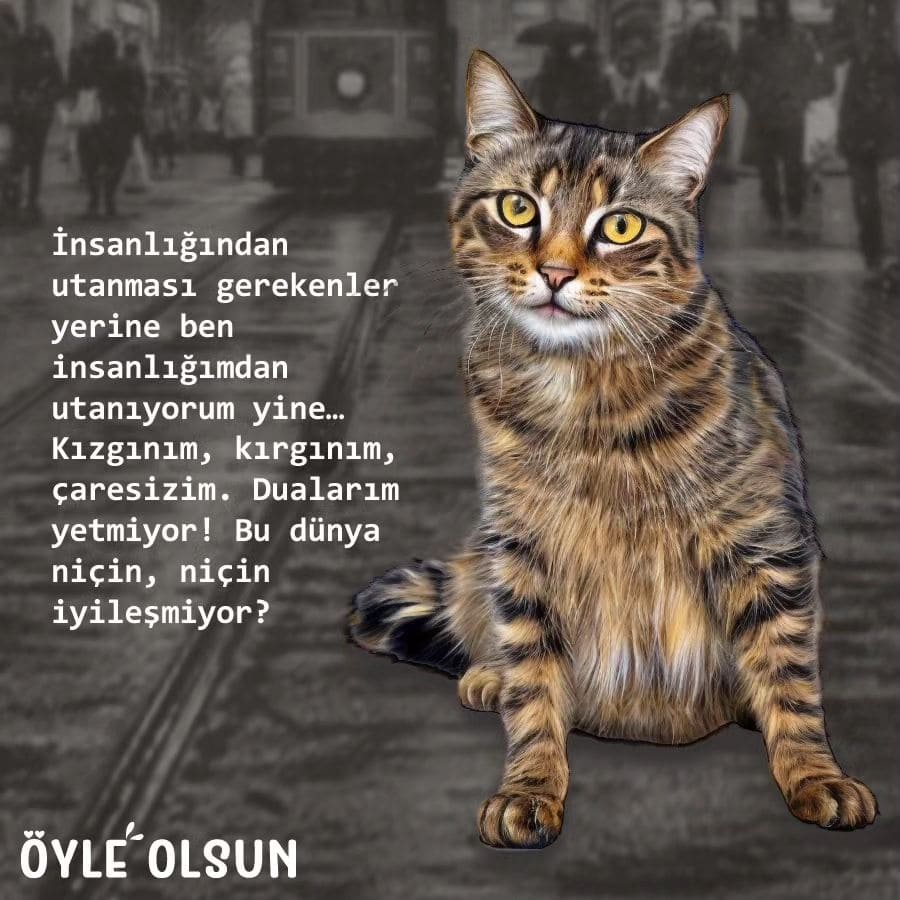 Eros için adalet istiyorum. O, şimdi melek kanatlı bir kedi ya katili? 
Hak, hiçbir cezayla yerini bulmayacak yine de bilinecek ki bir canı almanın bedeli vardır, olmalıdır; dilerim olur!