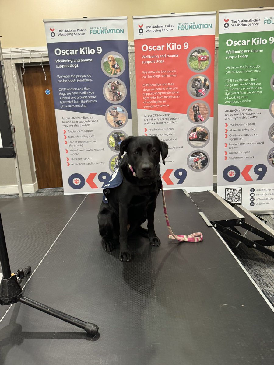 We are all set up and looking forward to the OK9 Conference! With around 20 OK9 Wellbeing Dogs 🐕 there’s going to be a lot of wellness! @OscarKiloUK @bluelightcardfn @DogsTrust @policecareuk @Rightsteps_UK #dogs #wellbeing #dog