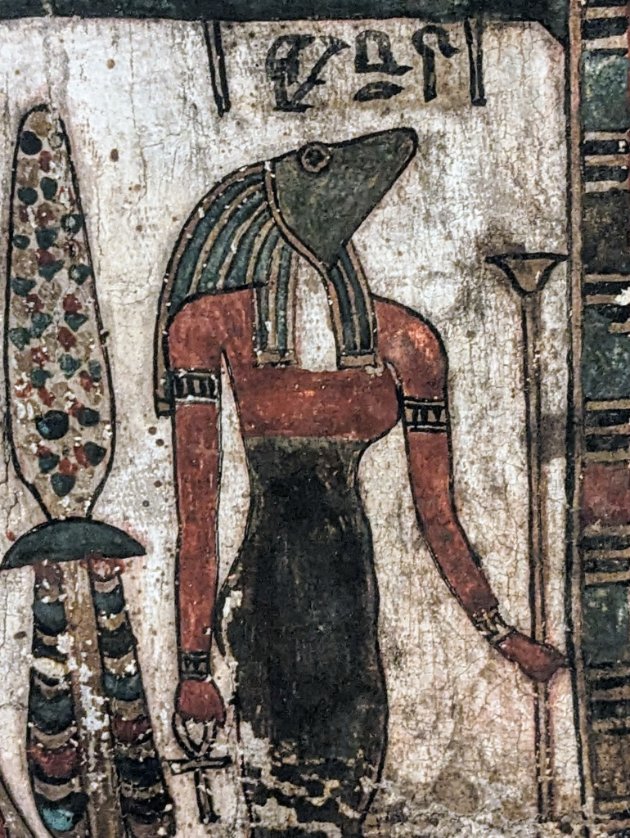 Dr Campbell Price tweet media