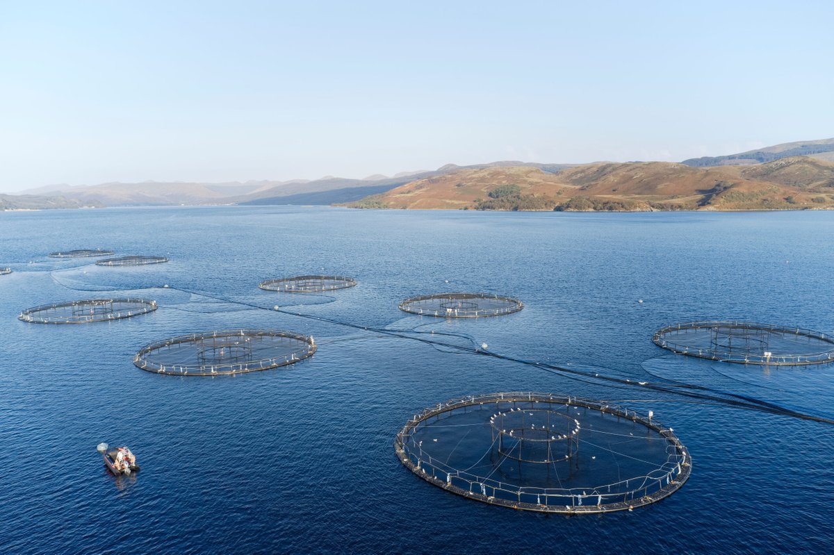 fishfarmermag's tweet photo. A new award, the Young Aquaculture Society (YAS)’s Early Career Innovators Competition is being launched by the University of Stirling’s Institute of Aquaculture (IoA), trade body Salmon Scotland and the organisers of the Aquaculture UK trade show. https://t.co/udgUzXz66s https://t.co/VXmGFeBy64