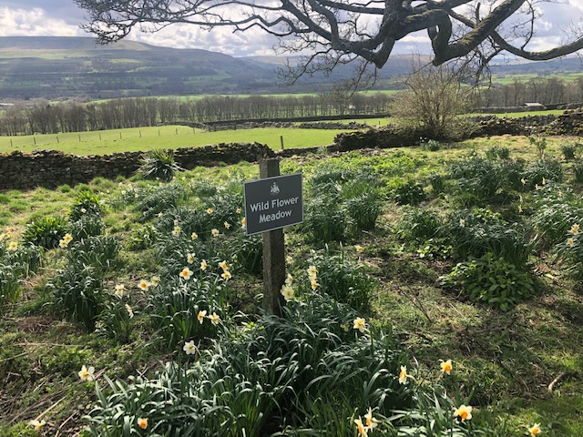 Spring has arrived & our gardens are looking glorious against our stunning views. Fancy a breath of fresh air combined with some delicious homemade cake? We'll save you some ..... #views #daffodils #cakes #tearoom #castle #walks #freshair #glorious #peace