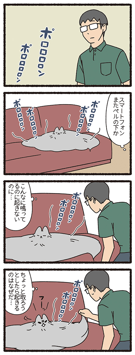 ねこようかい けうけげん
#ねこもんすたー #ねこようかい 