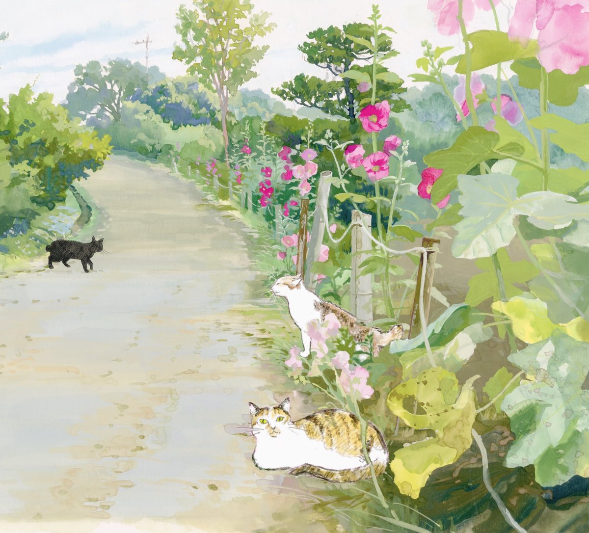 Country road where hollyhocks bloom