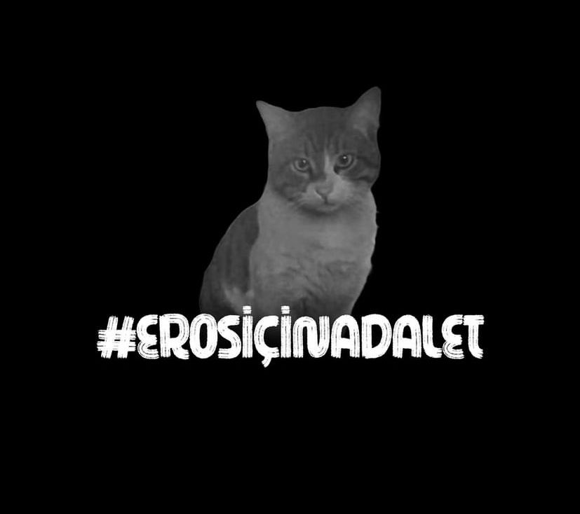 #Erosicinadalet

Bugün adalet tecelli edecek ve O .... cezasını alacak. 

Canım eros melek oldun gittin ama unutma bizler seni hep hatırlayacağız ve sana bunu yapan kişiyi de asla UNUTMAYACAĞIZ, UNUTTURMAYACAĞIZ. 

ADALET - ADALET - ADALET