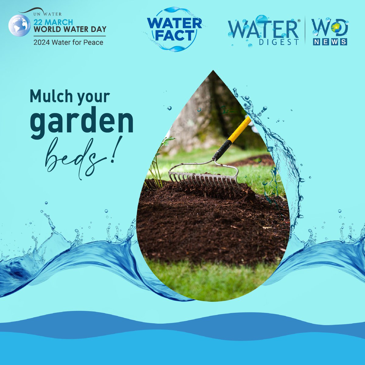 Applying mulch to garden beds helps to retain moisture in the soil and reduces the need for frequent watering. So, whether you have a large backyard garden or a small terrace garden, save some water with this helpful tip! #WorldWaterDay #WaterSaving #WaterForPeace