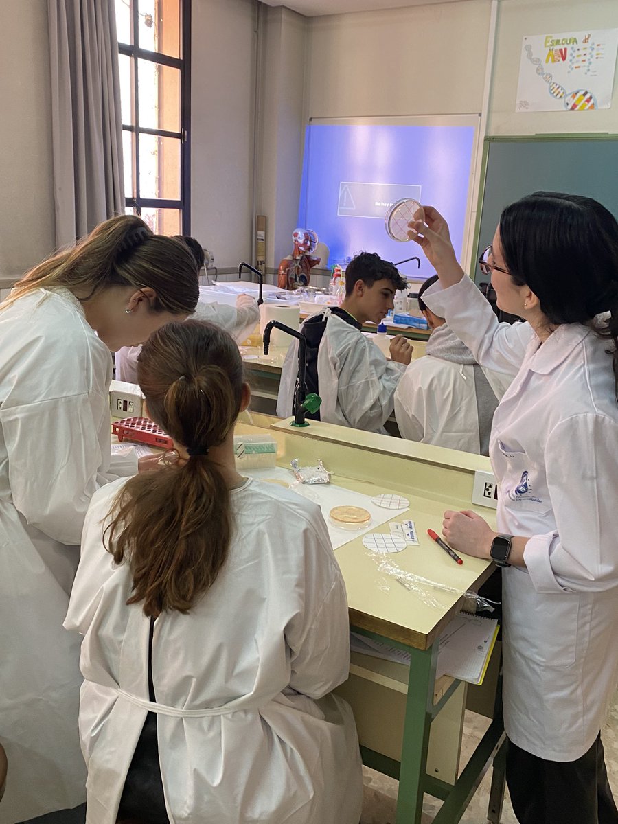 Hoy realizamos nuestra 3 sesión del Micromundo en el IES Santa Teresa de Jesús. Estamos deseosos de ver si observamos algún halo de inhibición en la siguiente sesión! 🙈