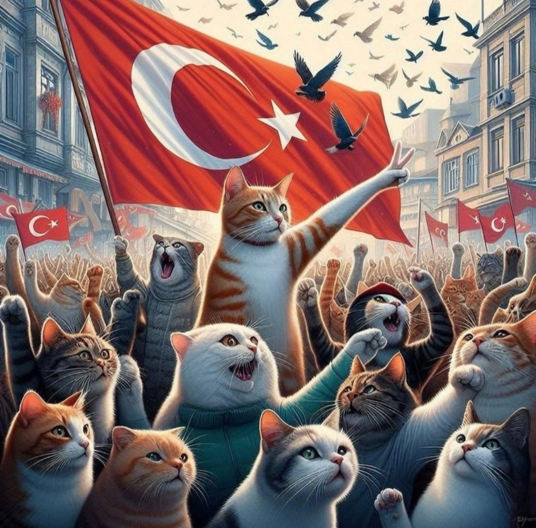 hnddmrl1's tweet photo. Eros için adalet 👊👊👊 https://t.co/2Fz9TLjTjH