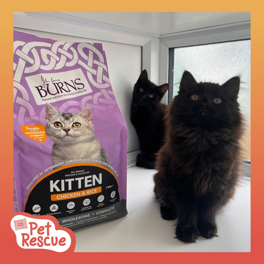 Dahlia and Orchid would like to say a big thank you to @burnspetfood for providing us with delicious dry food for our cats and dogs 💙🐾 #BurnsPetNutrition #BurnsPetFood #PoweredByBurns #BackedByBurns