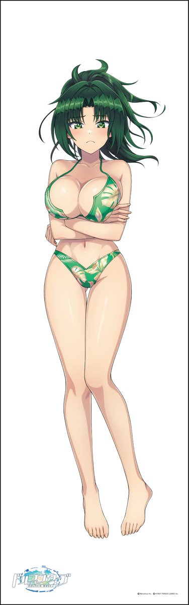 ドルフィンウェーブ　抱き枕カバーセット 咲宮入華 都条みちる 陽南杏里 彩戸詩絵 Amazon.co.jp: ドルフィンウェーブ 咲宮入華 都条みちる 陽南