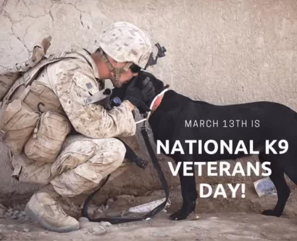 These dogs are American heroes. ❤️💪🏻🇺🇸🙏🏻 #K9VeteransDay