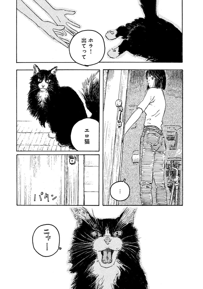怪異を呼び寄せる店の話
【7/7】 