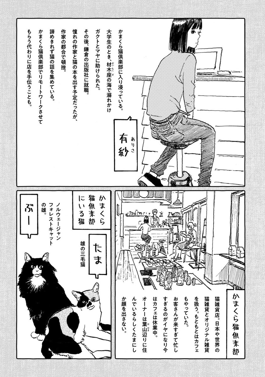 怪異を呼び寄せる店の話
【7/7】 