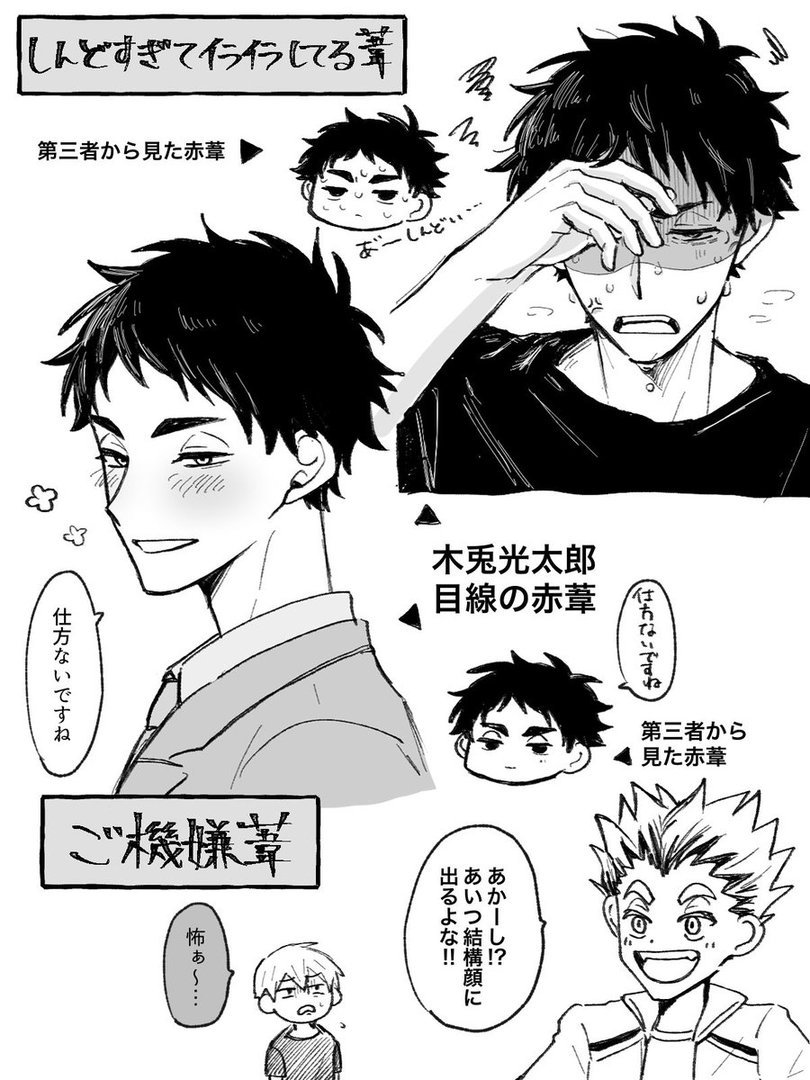 ウミウシ tweet media