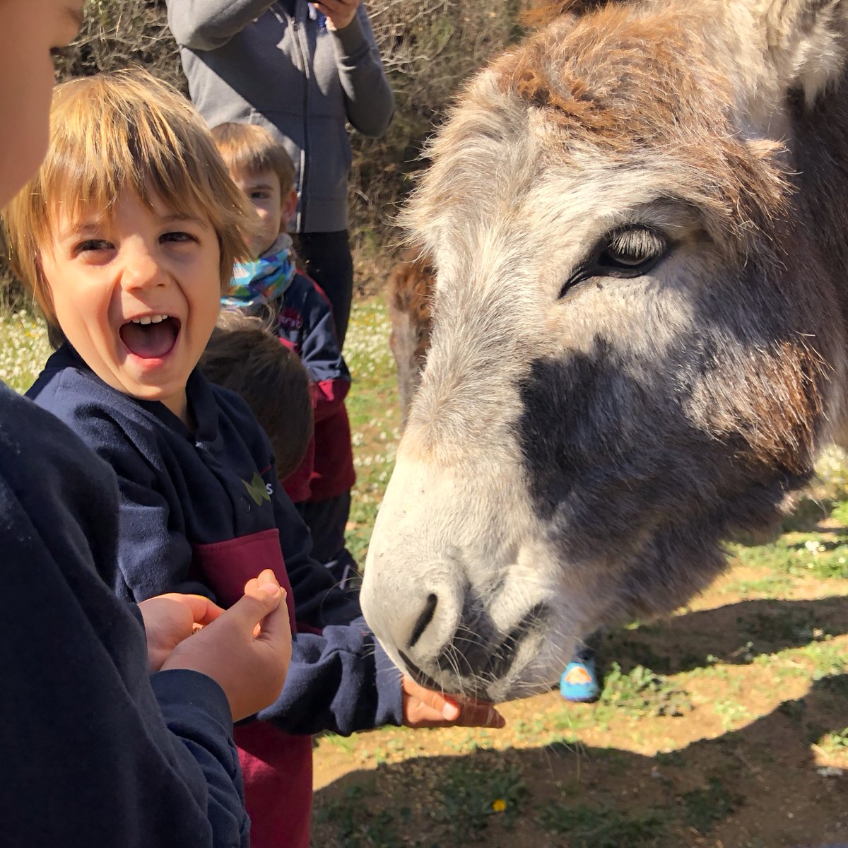 ISCAT_School's tweet photo. 🌿🐑 Our Early Years students had an incredible time last week exploring Hortus Samalus farmhouse! From interacting with farm animals to discovering the wonders of organic gardening, it was a day full of learning and fun.🚜🌱 https://t.co/GWY6wZjXvU