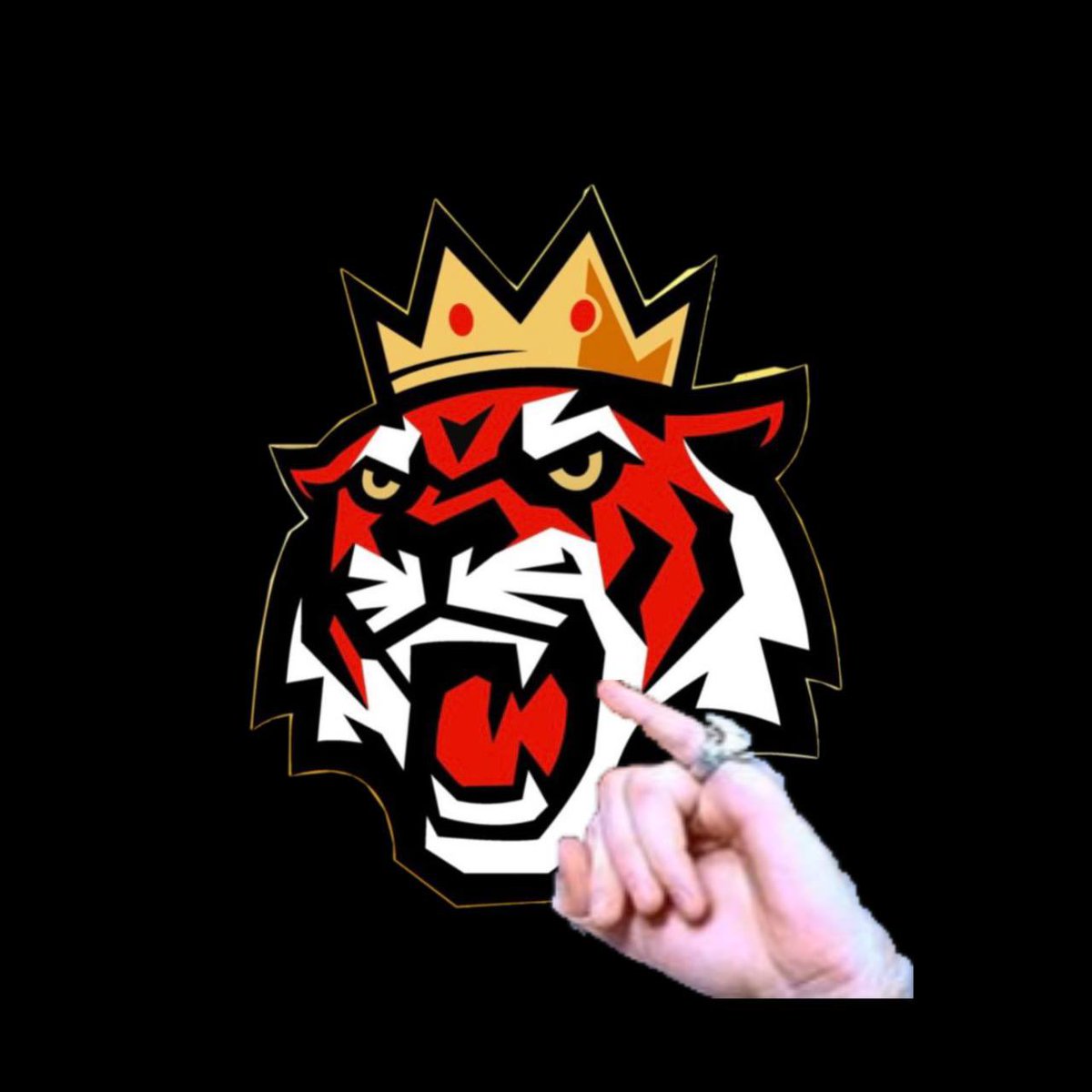 @AdonisHytopian It will be glorious and $TKING can’t wait
