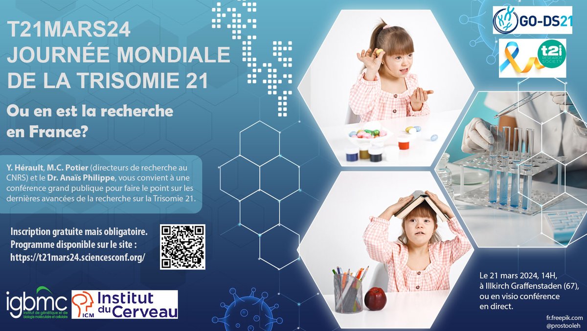 GO-DS21 (@go_ds21) on Twitter photo 🌟#DownSyndrome Awareness Week: Join us on March 21, 2024 in person or remotely from 2 p.m. to 5:15 p.m. at the Institute of Genetics, Molecular and Cellular Biology (<a href="/IGBMC/">IGBMC</a> ): Registration is free but required!👨🔬 t21mars24.sciencesconf.org
<a href="/YannHerault/">Herault</a>
@McPotier <a href="/t21rs/">Trisomy 21 Research Society</a> <a href="/T21_Fr/">Trisomie 21 France</a> 🌟#DownSyndrome Awareness Week: Join us on March 21, 2024 in person or remotely from 2 p.m. to 5:15 p.m. at the Institute of Genetics, Molecular and Cellular Biology (<a href="/IGBMC/">IGBMC</a> ): Registration is free but required!👨🔬 t21mars24.sciencesconf.org
<a href="/YannHerault/">Herault</a>
@McPotier <a href="/t21rs/">Trisomy 21 Research Society</a> <a href="/T21_Fr/">Trisomie 21 France</a>