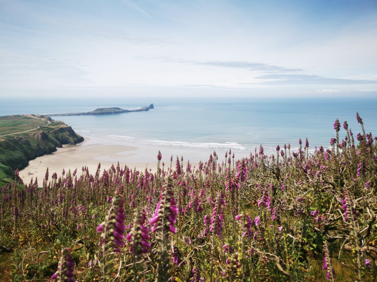 📅 SAVE THE DATE: 17 April, Rhossili Netwalk 📅 Come along as we journey through the village of Rhossili, along one of Wales’ best beaches. 🕙 10:30 – 16:00 📍 Rhossili womenintransport.com/events/rhossil… #WiTWales