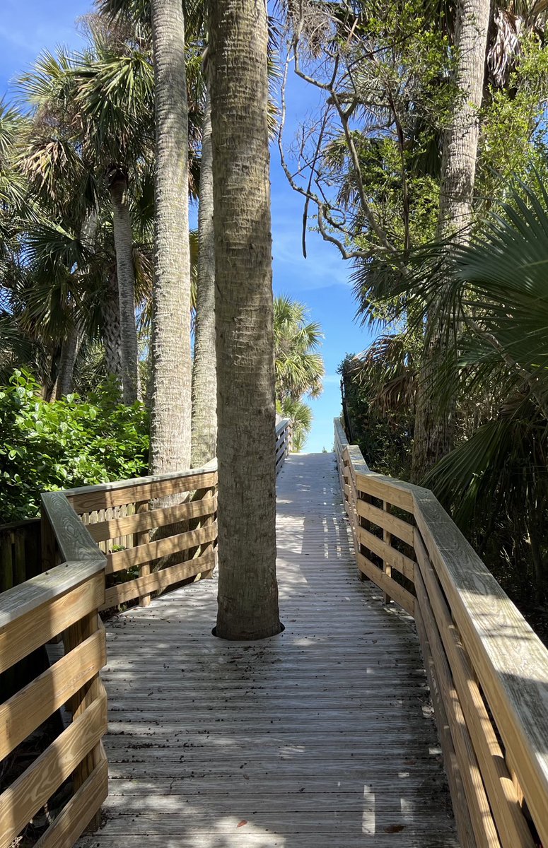 James Jakub tweet media