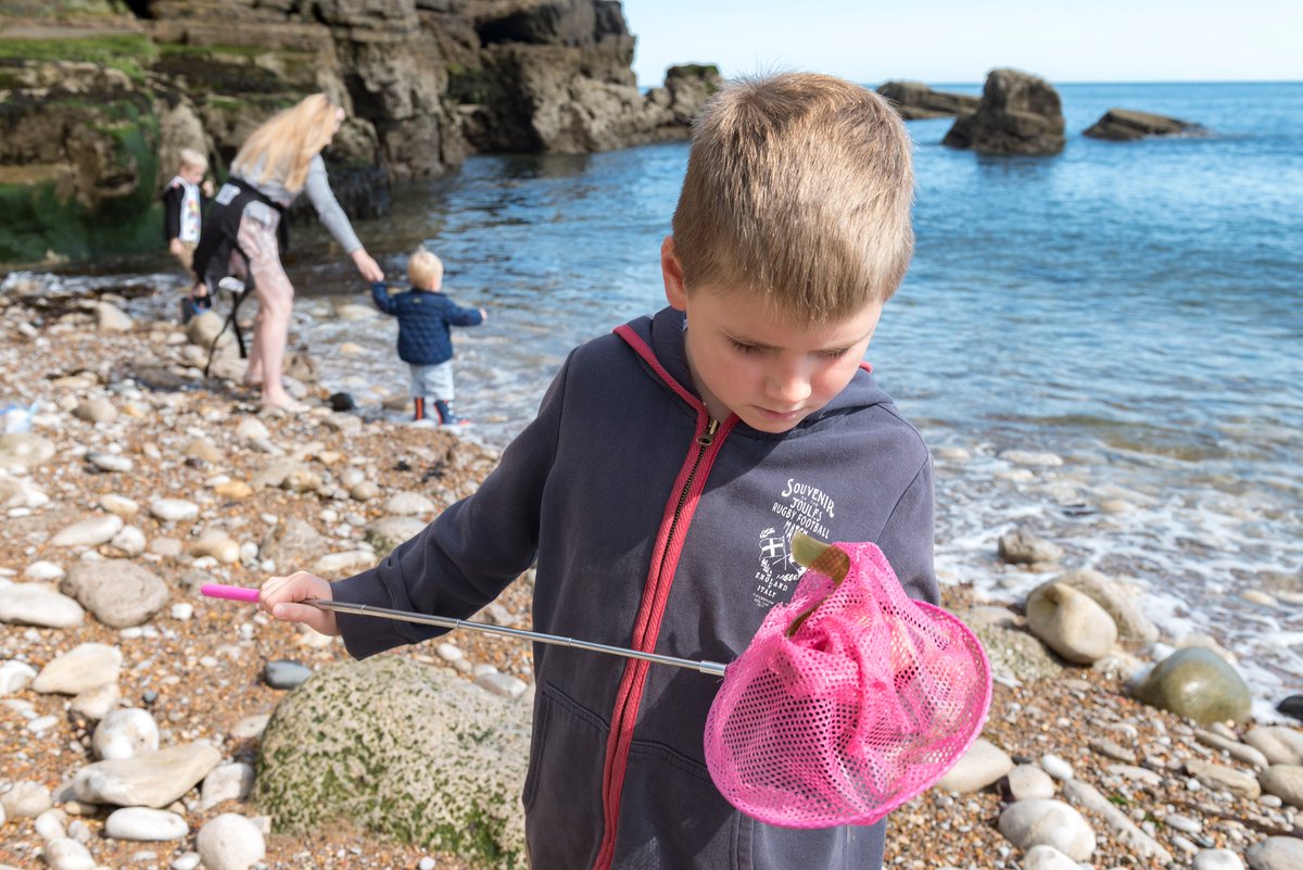 Seashore Safari at Souter Lighthouse 💦 Join a ranger and members of the Coastal Conservation Group to search the rockpools along Souter's shore! 📅 Sunday 7 April, 9 - 11am £2 per child, no booking required: nationaltrust.org.uk/visit/north-ea…