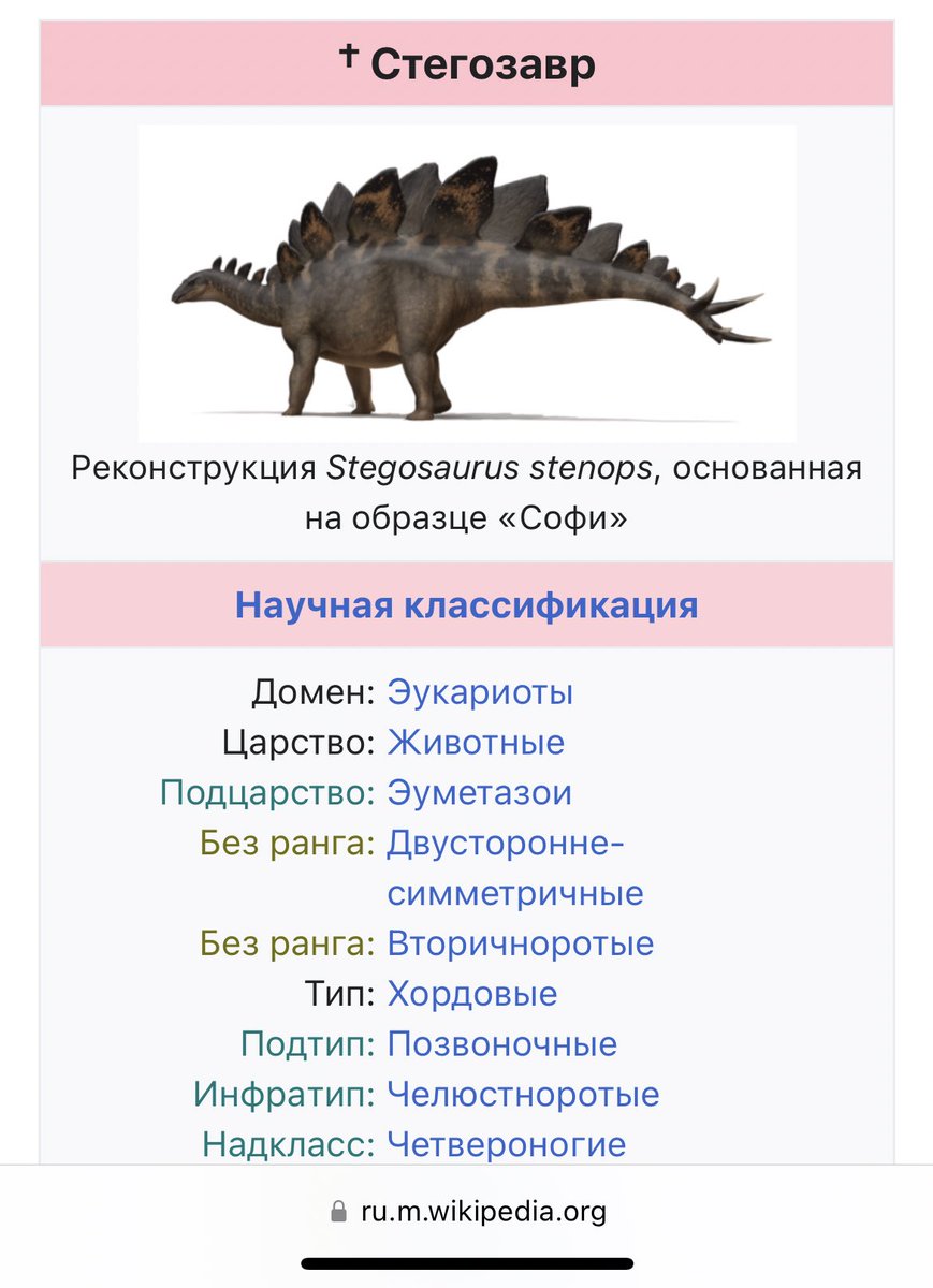 привет меня Боря зовут tweet media