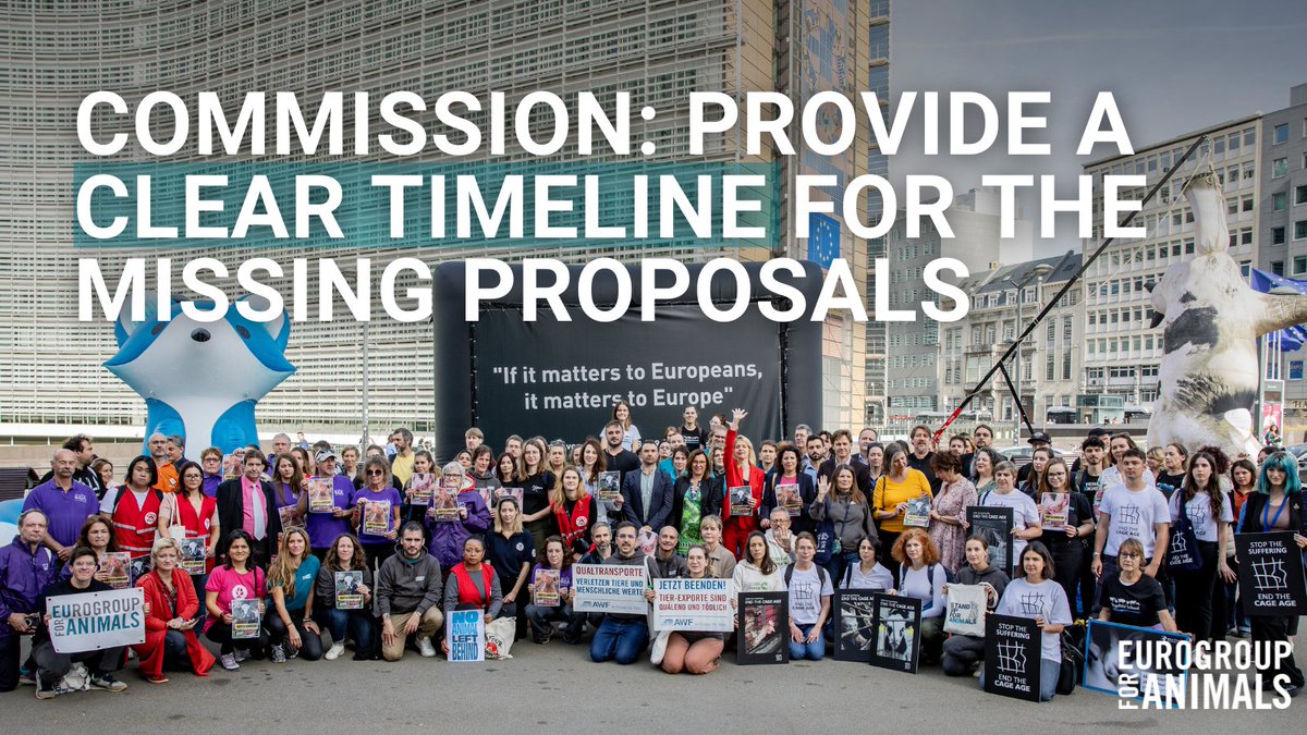 How much longer do citizens need to wait to see their demands for better #animalwelfare met? ⏲️

Please speak up for Europeans at tomorrow’s oral question and call on the @EU_Commission to provide a clear timeline for the missing proposals! 📢

#DelivertheProposal…