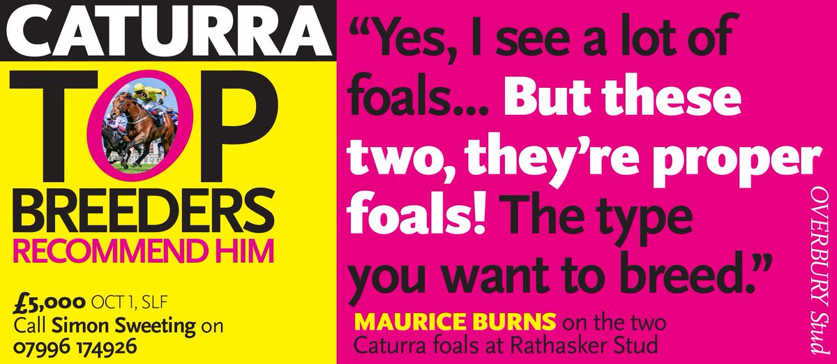 💫 @OverburySires' CATURRA - Top Breeders Recommend Him 💫 🗣 'Yes, I see a lot of foals... But these two, they're proper foals! The type you want to breed.' - Maurice Burns, @RathaskerStud For more info visit ➡️ ovstud.co.uk/stallions/catu… #ReadAllAboutIt