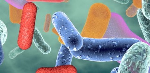 La microbiota y el papel en la fertilidad del hombre

omniprex.com/la-microbiota-…