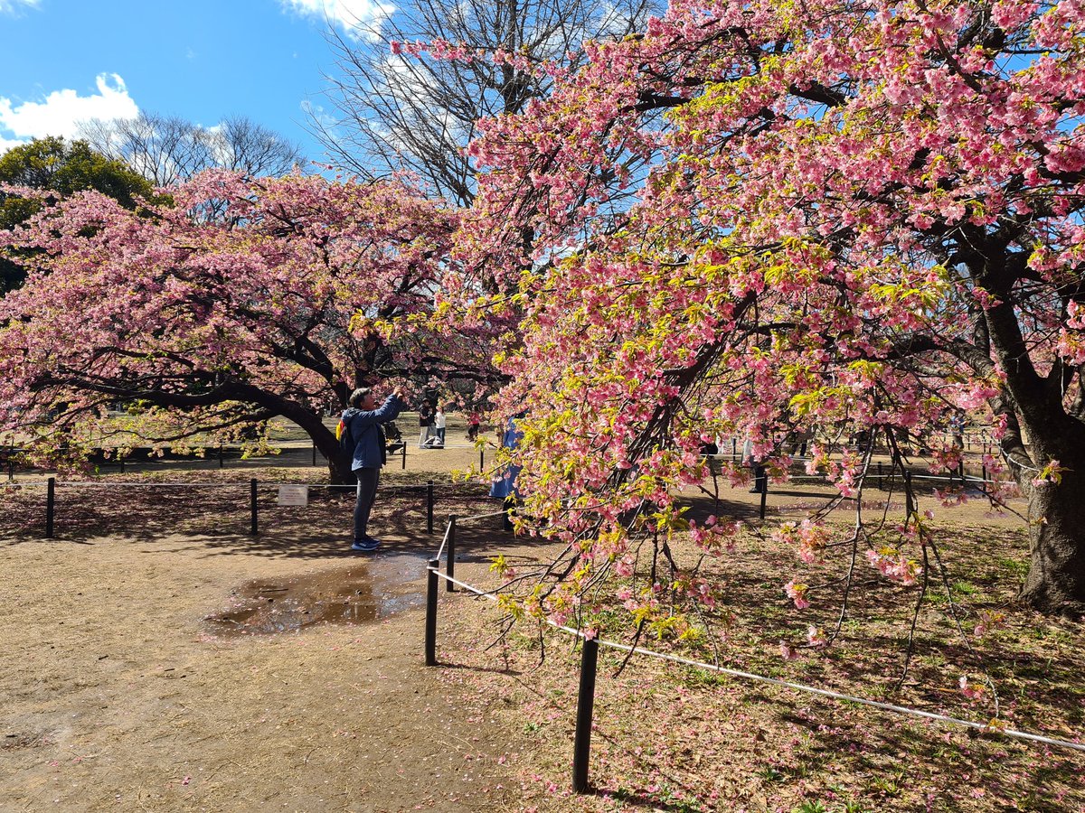 JustLautjee's tweet photo. Went to Japan and saw Animal Crossing irl👀 https://t.co/Wo4AOUM4gI