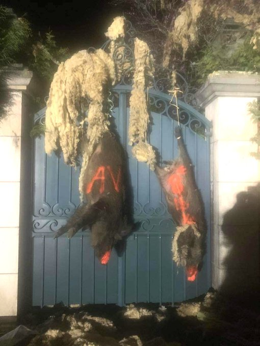 JUST IN: Farmers targeted the home of Senator François Patriat and hung dead wild boars on his gate... The French Revolution is back in 2024. 🔥🔥🔥