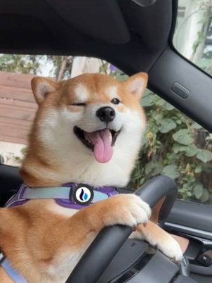 HTX (@htx_global) on Twitter photo 