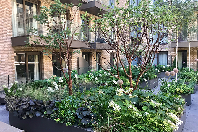Boughton Loam (@boughtonloam) on Twitter photo Green Stone Landscapes won Best Green Roof award at BALI Landscaping Awards 2018! They used Boughton Loams' IN1 Green Roof Substrate for Riverside Studios & Queenโs Wharf, London. Contact for project needs: ๐ 01536 510515, โ๏ธ info@boughton.co.uk #BoughtonLoam #GardeningSuccess Green Stone Landscapes won Best Green Roof award at BALI Landscaping Awards 2018! They used Boughton Loams' IN1 Green Roof Substrate for Riverside Studios & Queenโs Wharf, London. Contact for project needs: ๐ 01536 510515, โ๏ธ info@boughton.co.uk #BoughtonLoam #GardeningSuccess