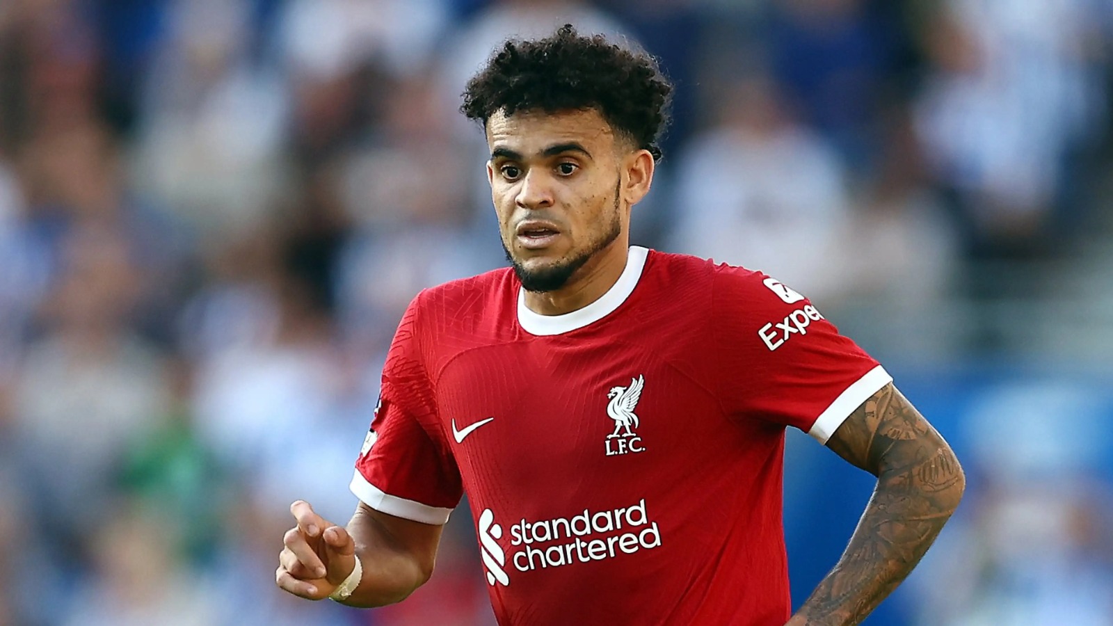 Liverpool 2024 fc transfer