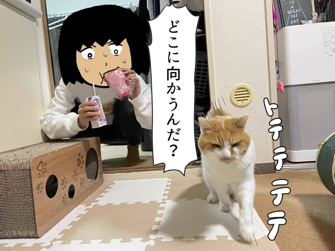 【猫】猫と24時間寄り添ってみた! | オモコロ 
甘え猫と1日一緒に過ごしました!
普段通りの日常なのですが、かけがえのない日々を大事に過ごしたいです・・!
https://t.co/NsaMJmrGqN 