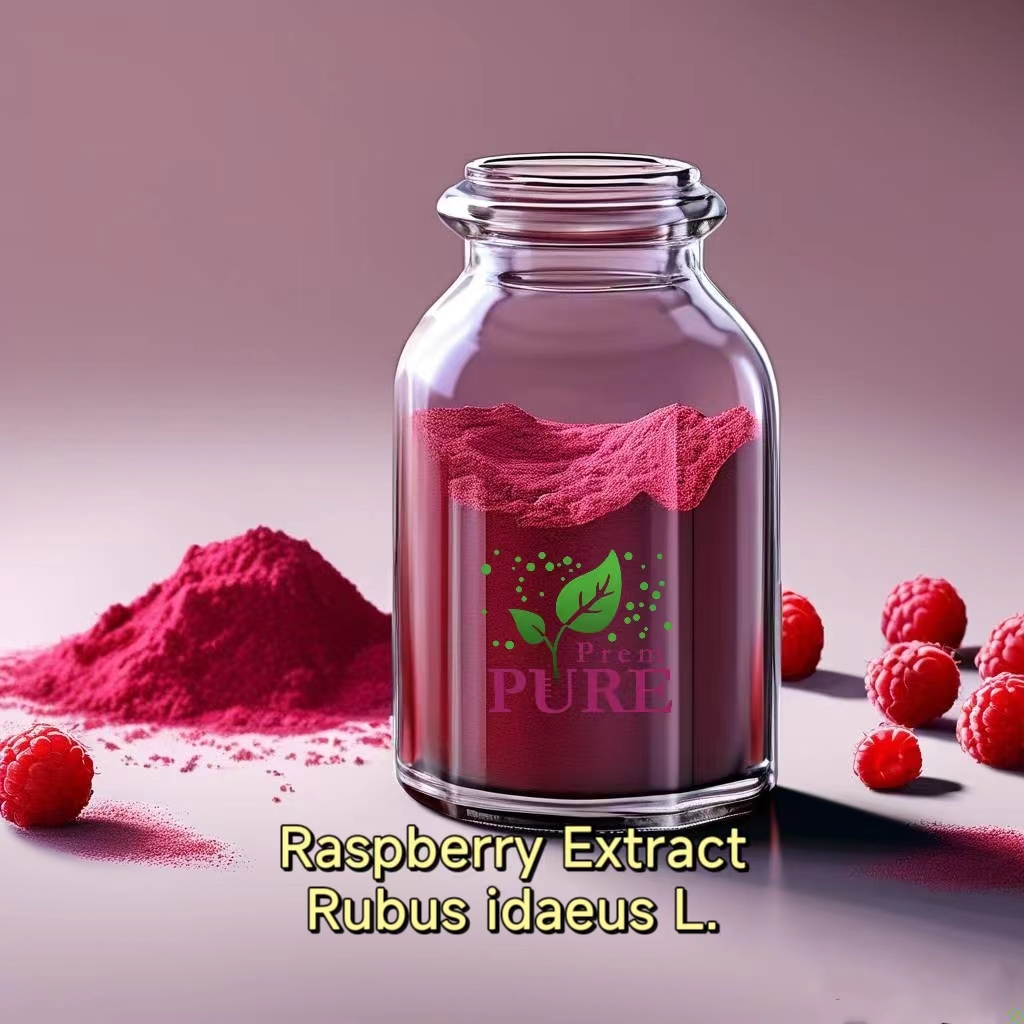 PremPureBio's tweet image. #RubusidaeusL.#Raspberryextract
Raspberry extract powder, derived from red raspberries (Rubus idaeus), has gained significant attention for its rich bioactive compounds and potential health benefits. Red raspberries are known for their high concentration of polyphenols